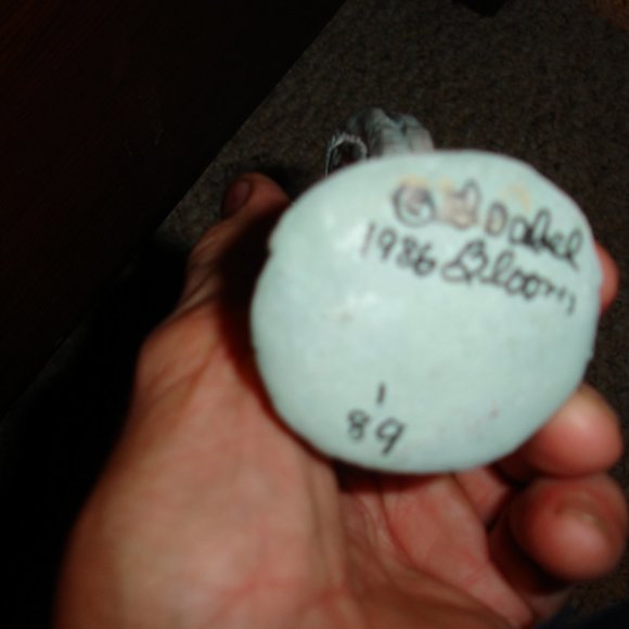 Isabel Bloom Angel - Angel  Playing Musical Instrument - Decorative Angel - 1986 - Picture 5 of 5